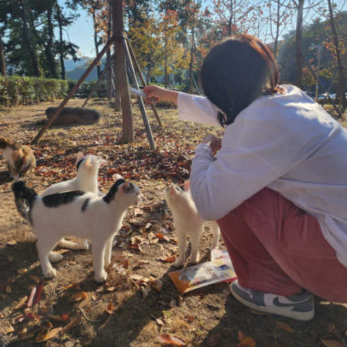 조던 1 로우 스텔스 앤 화이트 553560-053 photo review