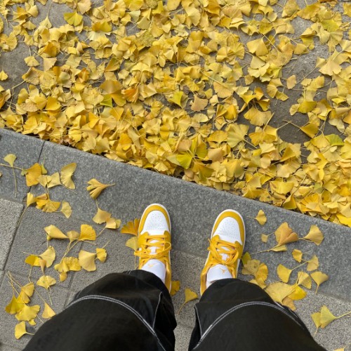 조던 1 로우 폴른 553560-171 photo review