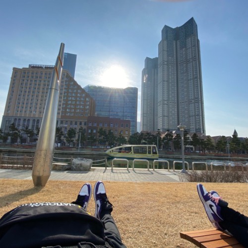 조던 1 로우 코트 퍼플 2020 553560-500 photo review