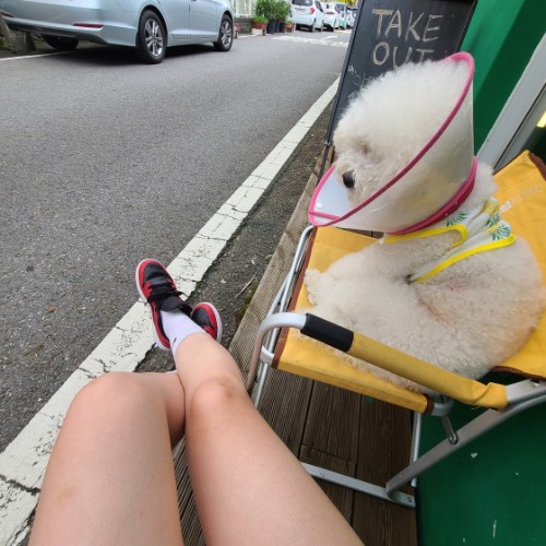 조던 1 로우 바시티 레드 553560-606 photo review