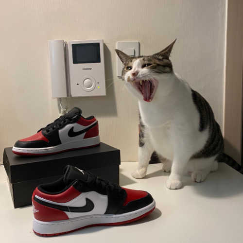 조던 1 로우 브레드 토 553560-612 photo review