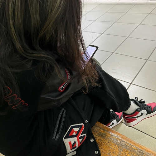 조던 1 로우 브레드 토 553560-612 photo review