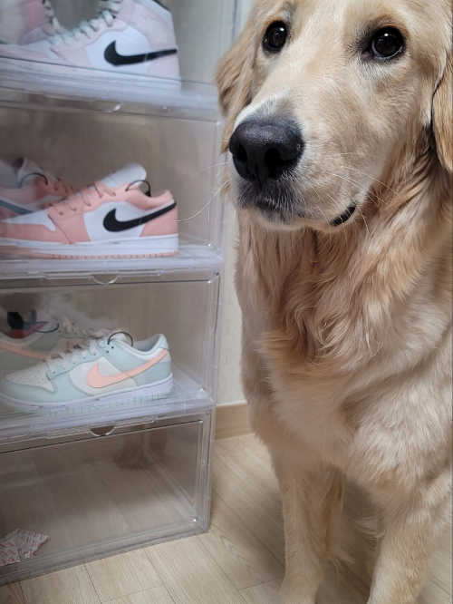 조던 1 로우 라이트 아크틱 핑크 553560-800 photo review