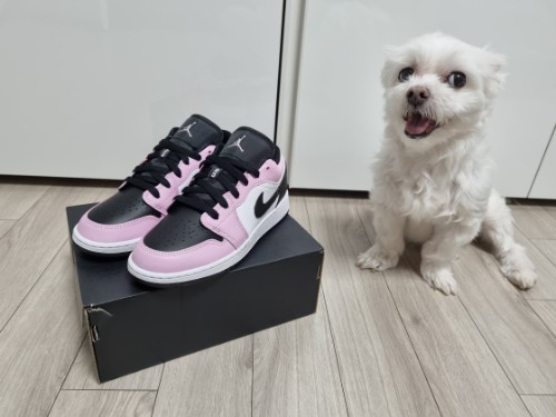 조던 1 로우 라이트 아크틱 핑크 554723-601 photo review