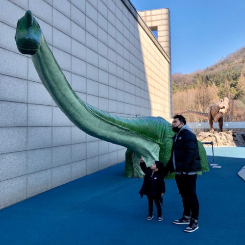 조던 1 레트로 하이 OG 쉐도우 2018 575441-013 photo review