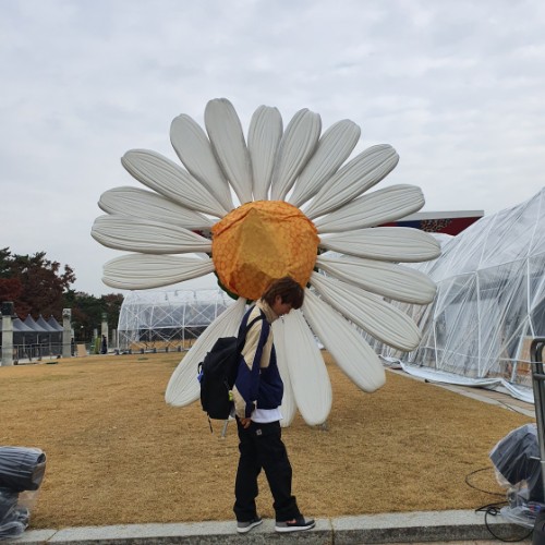 조던 1 레트로 하이 OG 쉐도우 2018 575441-013 photo review