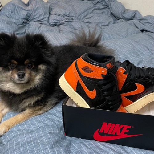 조던 1 레트로 하이 OG 쉐터드 백보드 3.0 575441-028 photo review