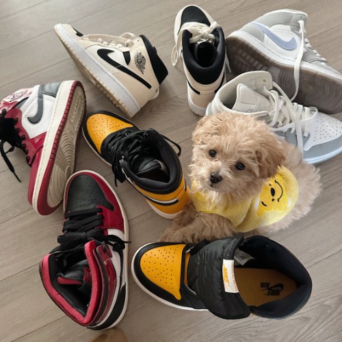 조던 1 레트로 하이 OG 택시 575441-711 photo review