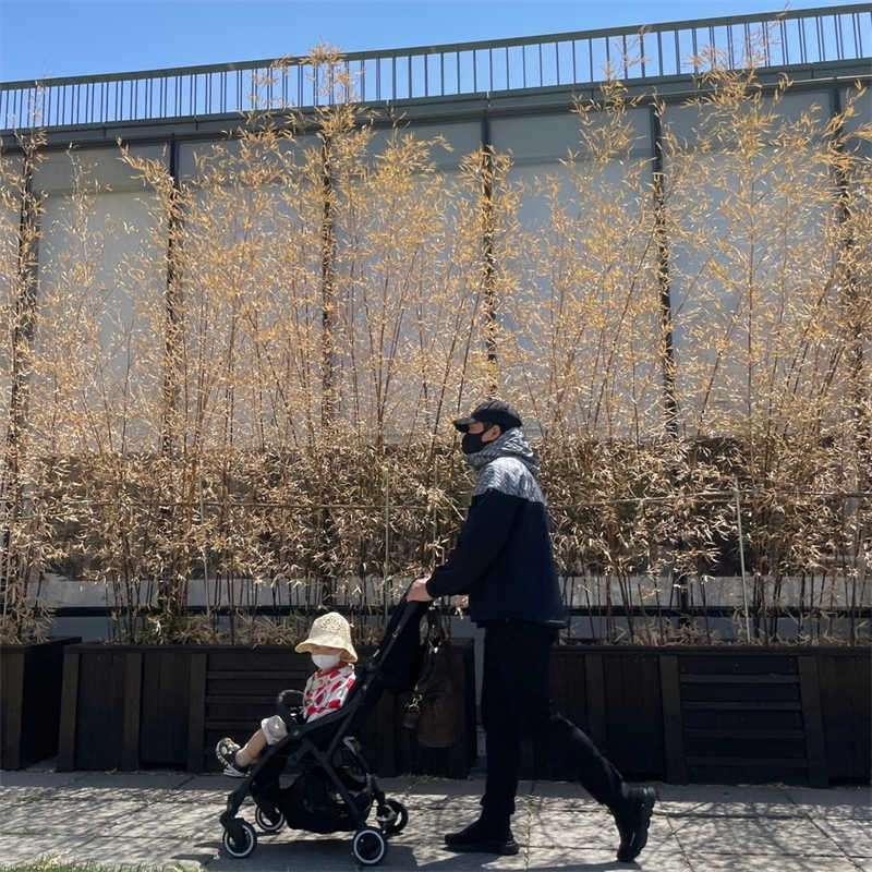 발렌시아가 스피드 트레이너 블랙 2021 645056W2DBP1013 photo review