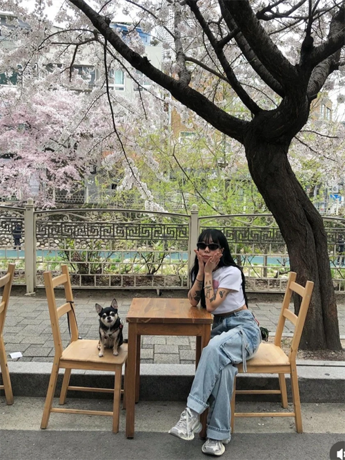 발렌시아가 3XL 스니커즈 라이트 베이지 734734W3XL49191 photo review