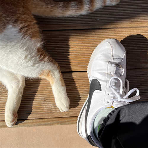 나이키 코르테즈 베이직 SL 화이트 블랙 904764-102 photo review