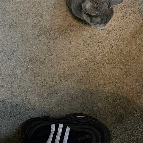 나이키 에어맥스 97 올 오버 프린트 블랙 레드 AR4259-001 photo review