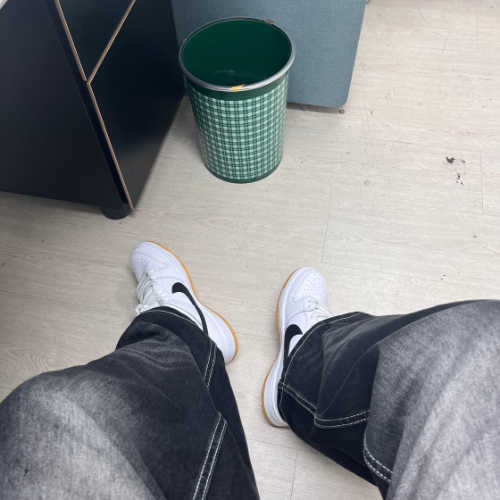 나이키 SB 덩크 로우 프로 화이트 앤 검 라이트 브라운 CD2563-101 photo review