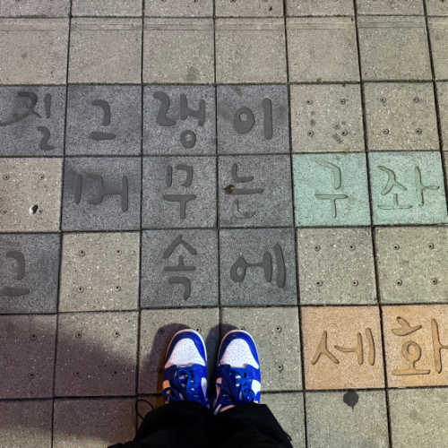 나이키 덩크 로우 SP 켄터키 2022 CU1726-100 photo review