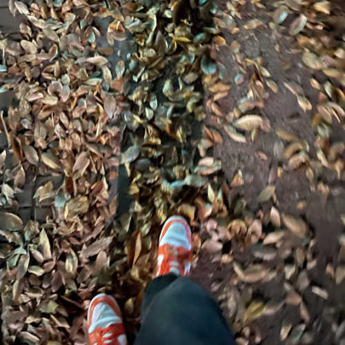 나이키 덩크 로우 SP 시라큐스 2022 CU1726-101 photo review