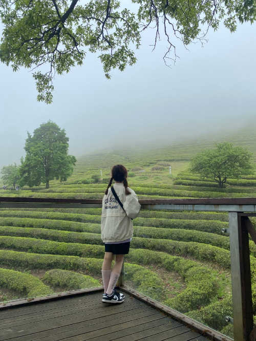 나이키 덩크 로우 블랙 CW1590-100 photo review