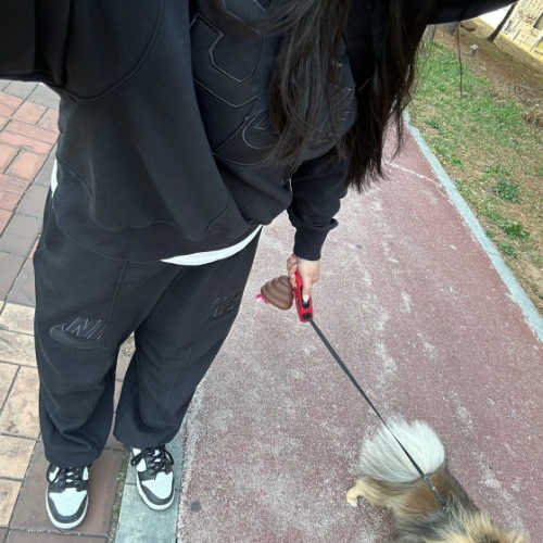 나이키 덩크 로우 블랙 CW1590-100 photo review