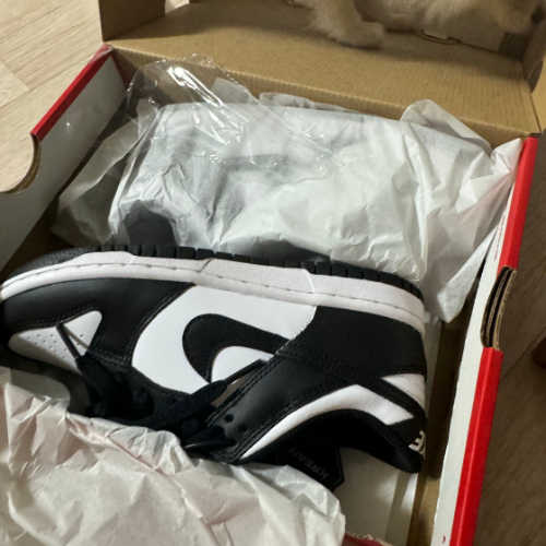 나이키 덩크 로우 블랙 CW1590-100 photo review