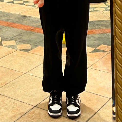 나이키 덩크 로우 블랙 CW1590-100 photo review