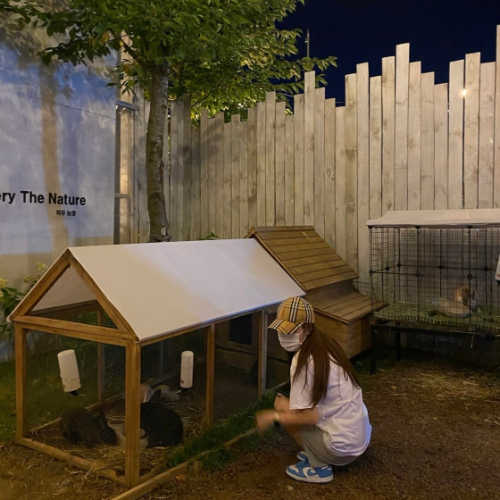 나이키 덩크 로우 유니버시티 블루 CW1590-103 photo review