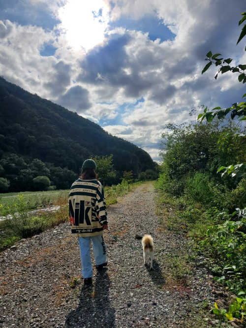 나이키 에어맥스 95 OG 네온 옐로우 2020 CZ0910-001 photo review