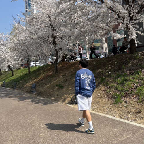 나이키 x 카시나 덩크 로우 80's 버스 CZ6501-100 photo review