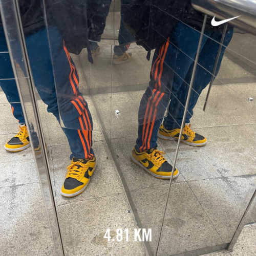 나이키 덩크 로우 레트로 챔피언쉽 골든로드 DD1391-004 photo review