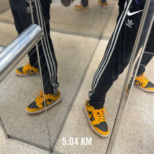 나이키 덩크 로우 레트로 챔피언쉽 골든로드 DD1391-004 photo review