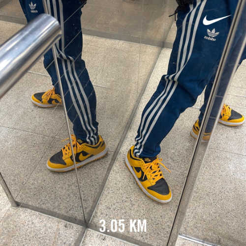 나이키 덩크 로우 레트로 챔피언쉽 골든로드 DD1391-004 photo review