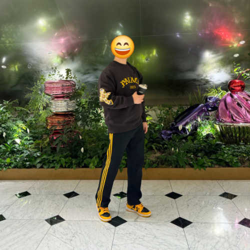 나이키 덩크 로우 레트로 챔피언쉽 골든로드 DD1391-004 photo review