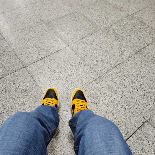 나이키 덩크 로우 레트로 챔피언쉽 골든로드 DD1391-004 photo review