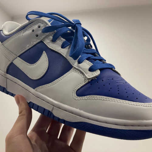 나이키 덩크 로우 레트로 레이서 블루 앤 화이트 DD1391-401 photo review