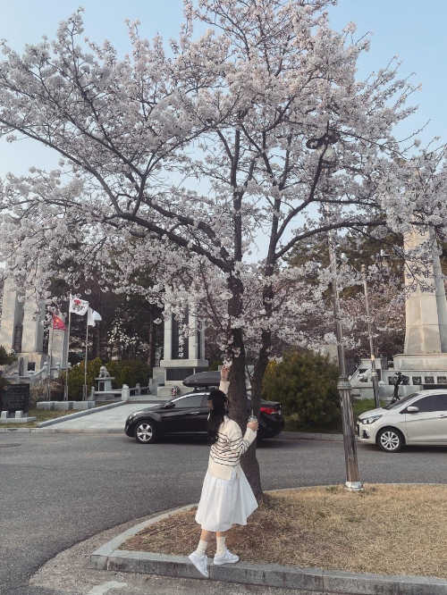 나이키 덩크 로우 베니스 DD1503-116 photo review