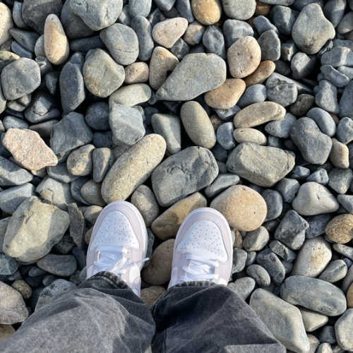 나이키 덩크 로우 베니스 DD1503-116 photo review