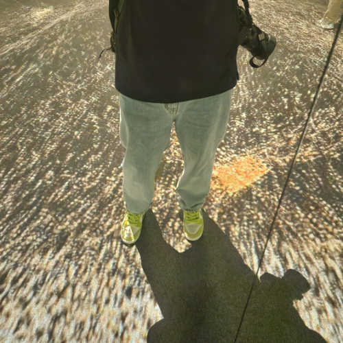 나이키 SB 덩크 로우 프로 사워 애플 DM0807-300 photo review