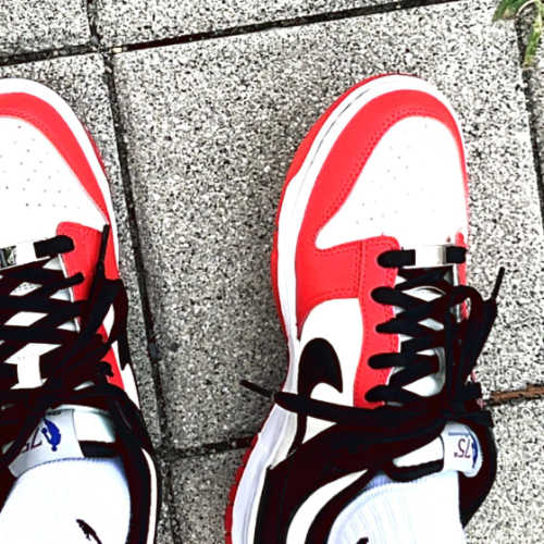 나이키 x NBA 덩크 로우 블랙 앤 칠리 레드 DO6288-100 photo review