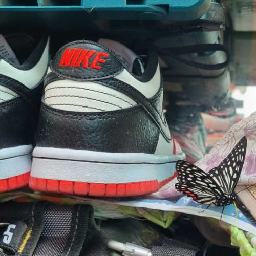 나이키 x NBA 덩크 로우 블랙 앤 칠리 레드 DO6288-100 photo review