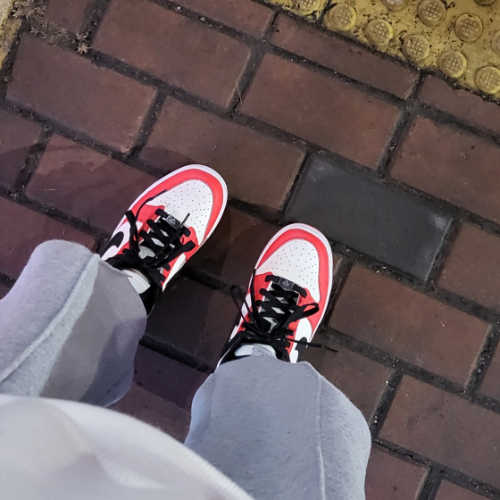 나이키 x NBA 덩크 로우 블랙 앤 칠리 레드 DO6288-100 photo review