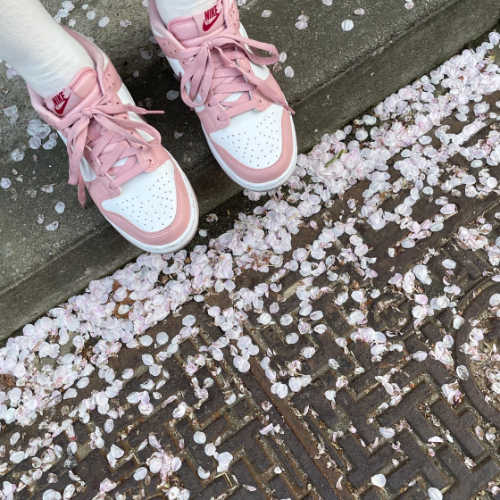 나이키 덩크 로우 핑크 벨벳 DO6485-600 photo review