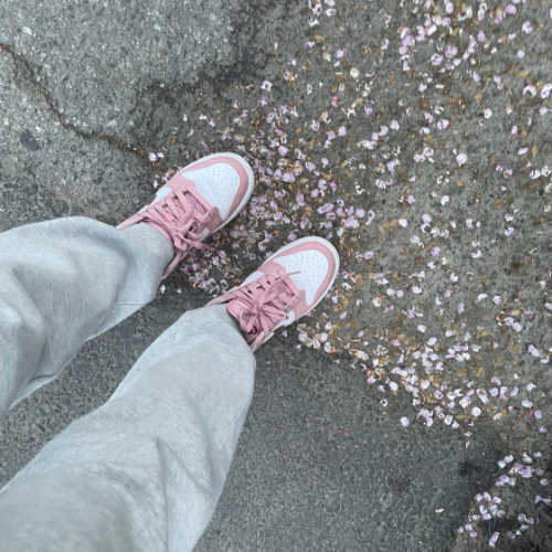 나이키 덩크 로우 핑크 벨벳 DO6485-600 photo review