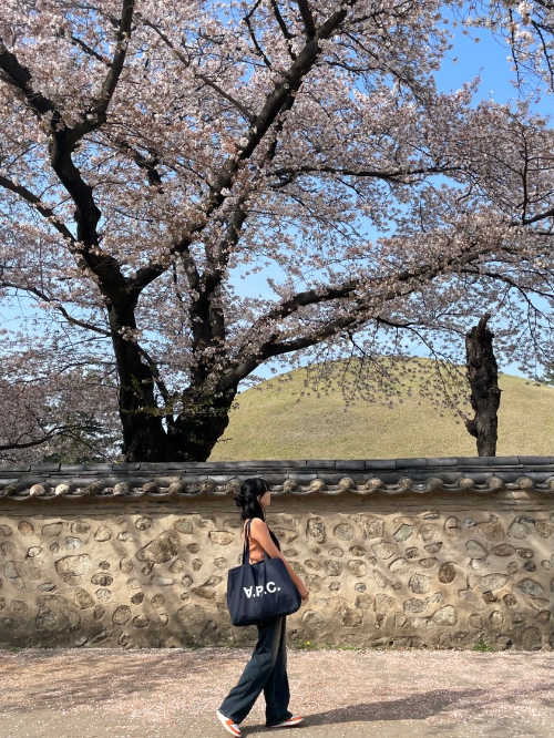 조던 1 레트로 하이 OG 스타피쉬 DO9369-101 photo review