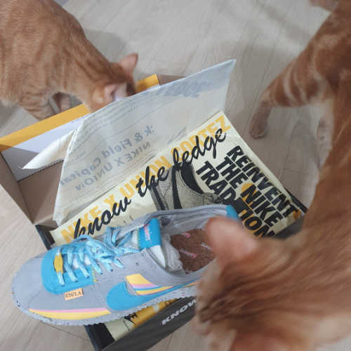 나이키 x 유니온 코르테즈 SP 라이트 스모크 DR1413-002 photo review