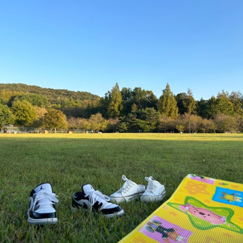 조던 1 로우 SE 콩코드 DV1333-100 photo review