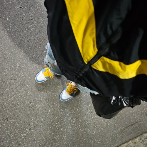 조던 1 로우 SE 도쿄 96 DZ5376-469 photo review