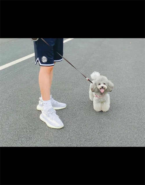 아디다스 이지 부스트 350 V2 스태틱 - 리플렉티브 EF2367 photo review