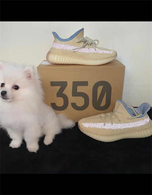 아디다스 이지 부스트 350 V2 리넨 FY5158 photo review