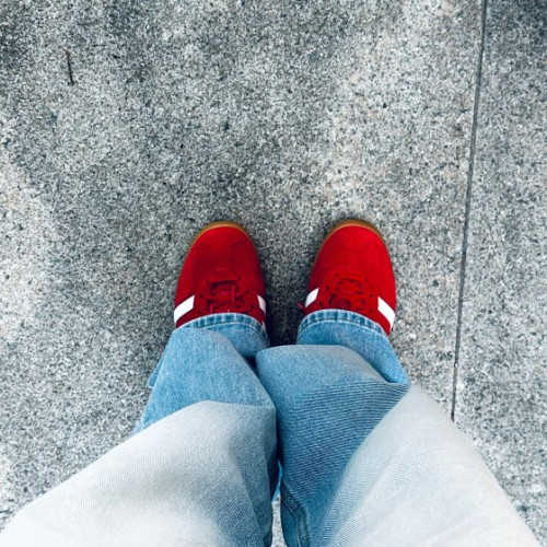 아디다스 가젤 인도어 스칼렛 H06261 photo review