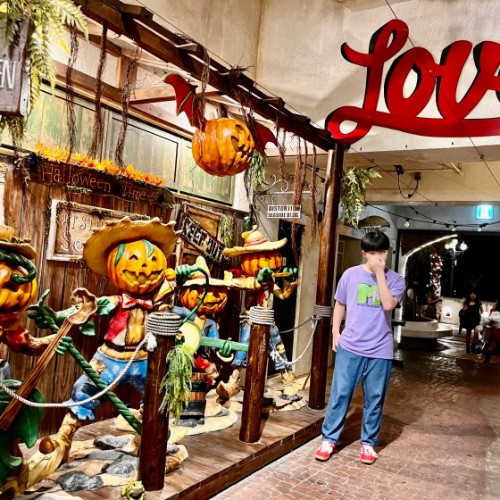 아디다스 가젤 인도어 스칼렛 H06261 photo review