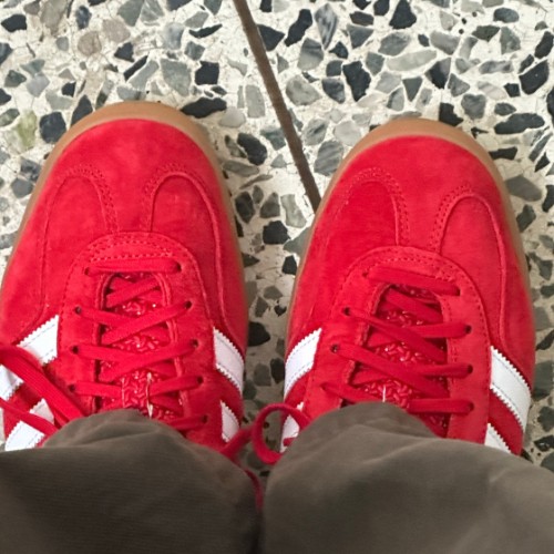 아디다스 가젤 인도어 스칼렛 H06261 photo review