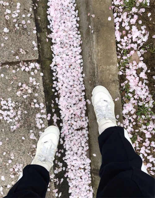 디올 D 커넥트 테크니컬 패브릭 화이트 KCK222NGG_S10W photo review